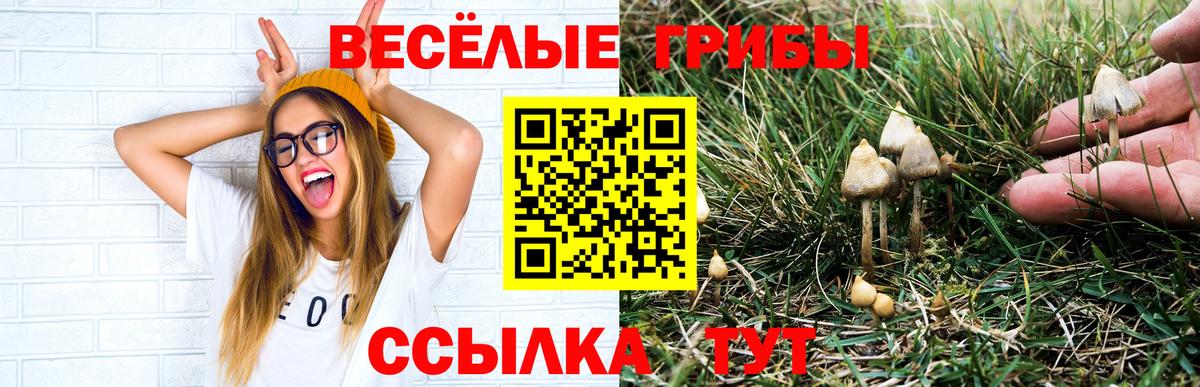 Псилоцибиновые грибы GOLDEN TEACHER Алексин
